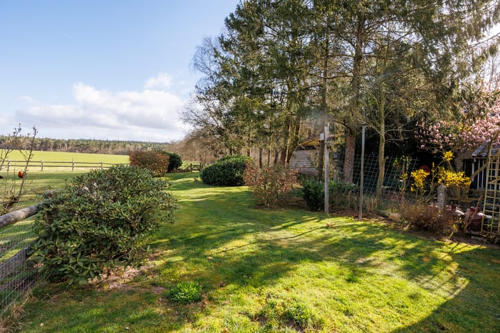 Foto 4 van Rijksstraatweg 6