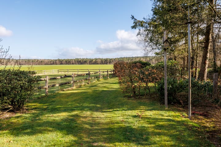 Photo 44 of Rijksstraatweg 6