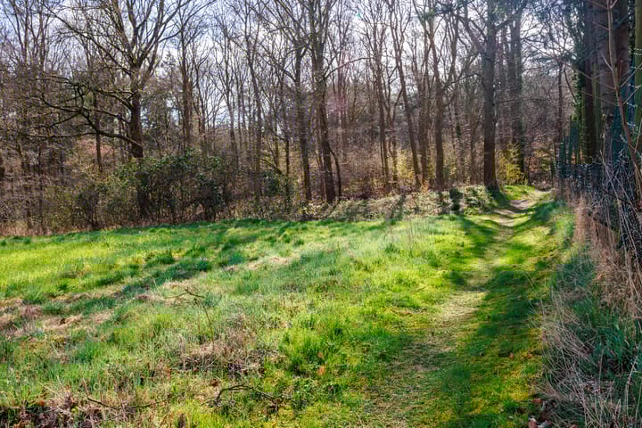 Photo 52 of Rijksstraatweg 6