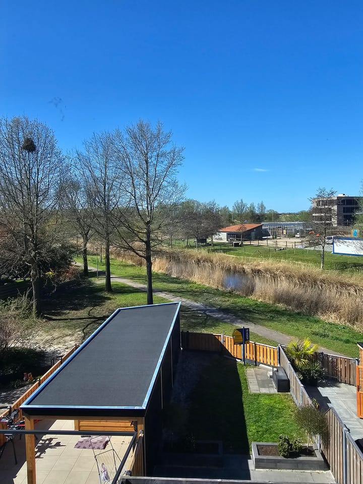 Foto 31 van Waterkers 53