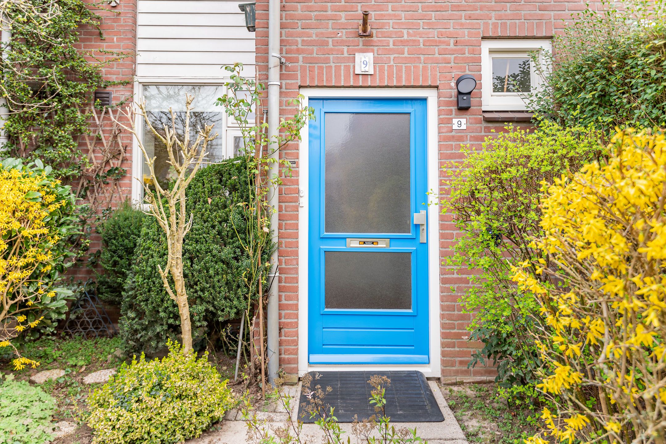 Foto 6 van Tamboerpad 9