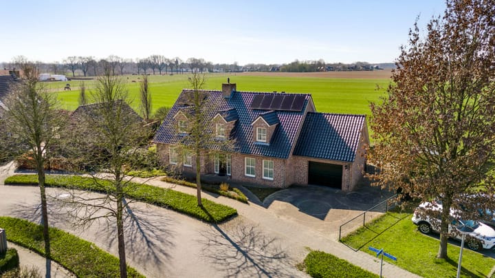 Foto 1 van Ridderspoor 25