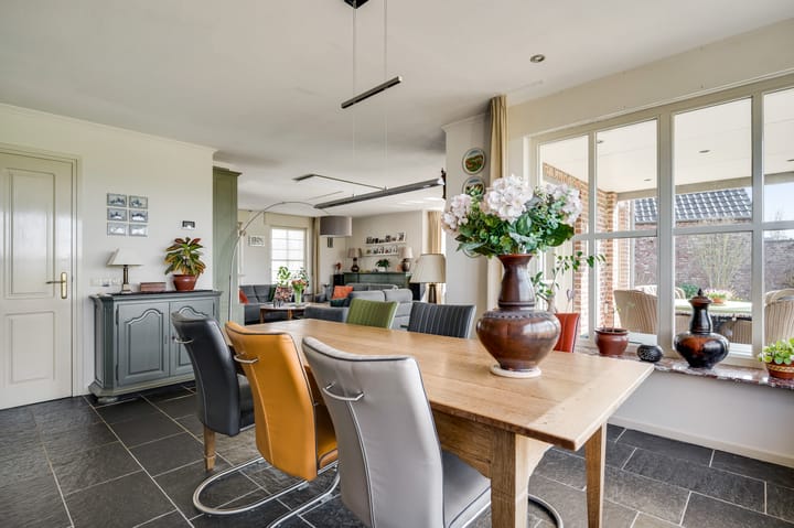 Foto 10 van Ridderspoor 25