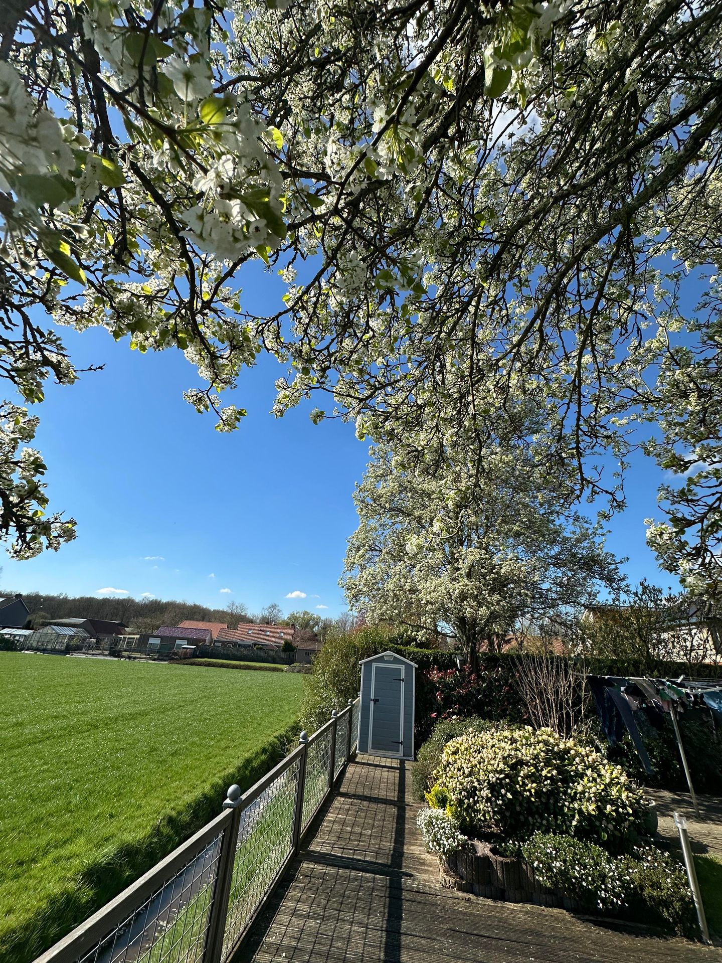 Foto 49 van Pastoor Ermenstraat 24