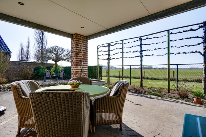 Foto 45 van Ridderspoor 25