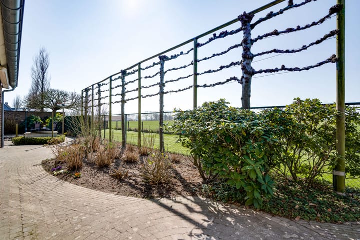 Foto 50 van Ridderspoor 25