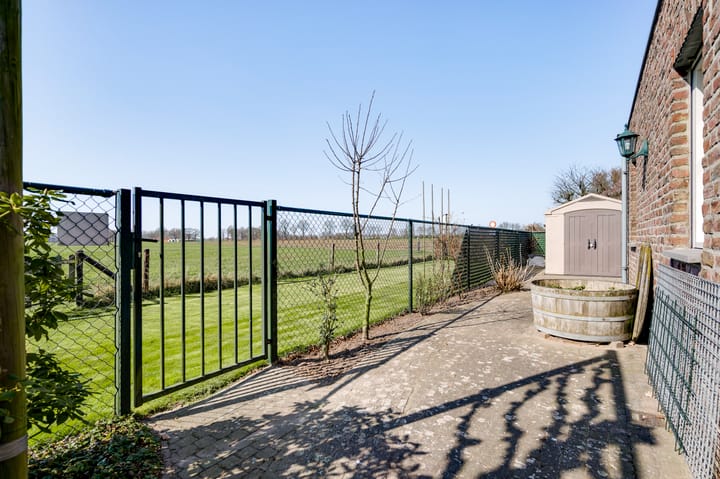 Foto 51 van Ridderspoor 25