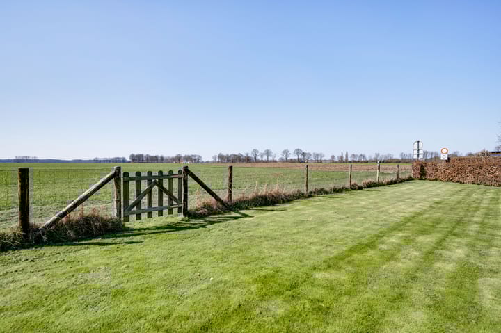 Foto 54 van Ridderspoor 25