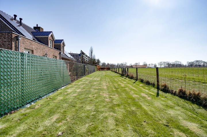 Foto 55 van Ridderspoor 25