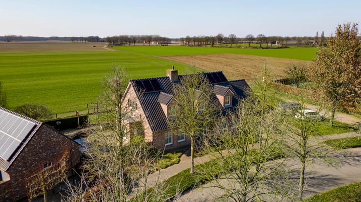 Foto 61 van Ridderspoor 25