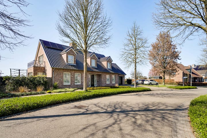 Foto 71 van Ridderspoor 25