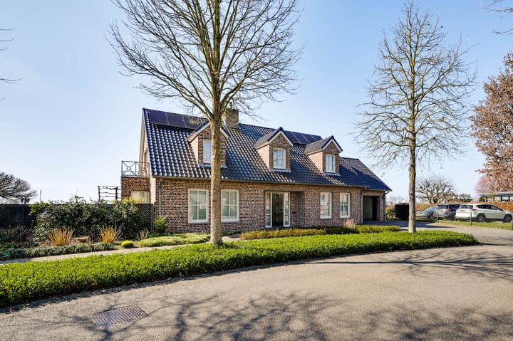 Foto 72 van Ridderspoor 25