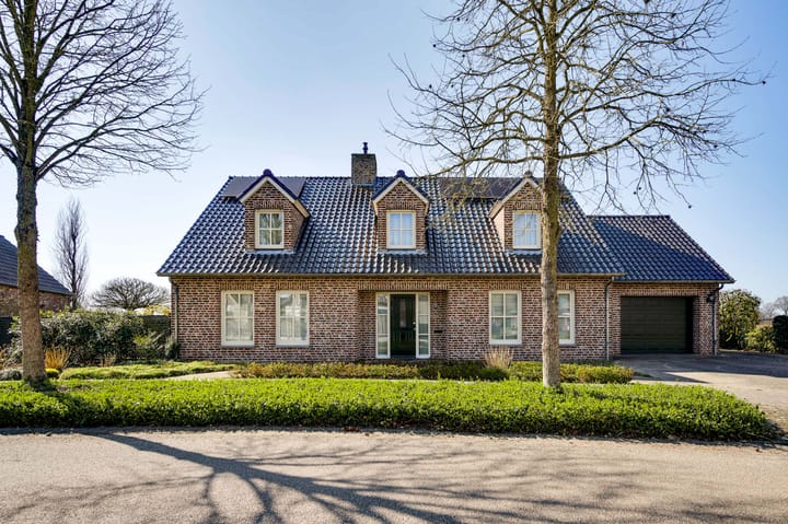 Foto 73 van Ridderspoor 25