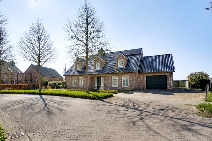 Foto 74 van Ridderspoor 25