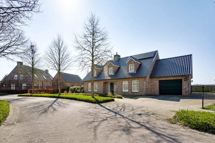 Foto 75 van Ridderspoor 25