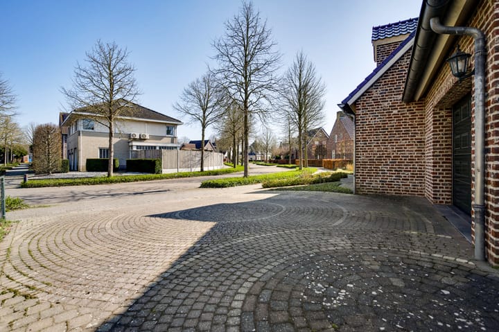 Foto 77 van Ridderspoor 25