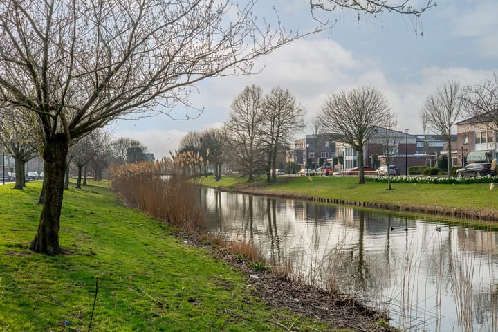 Foto 39 van Drontermeer 29