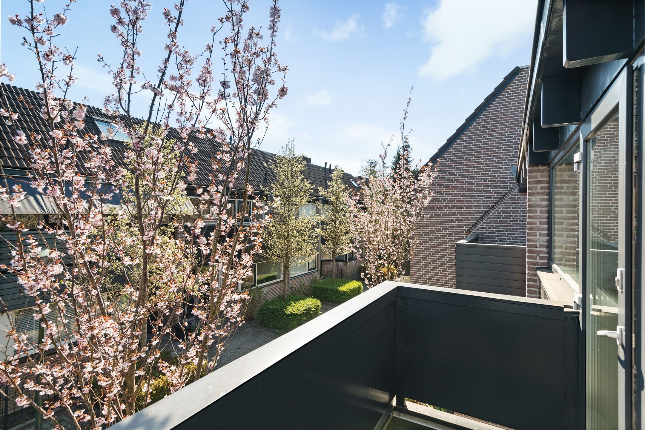 Photo 18 of 't Grachtje over 30