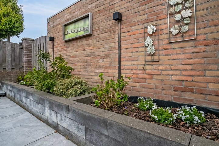 Foto 9 van Schelpstraat 23