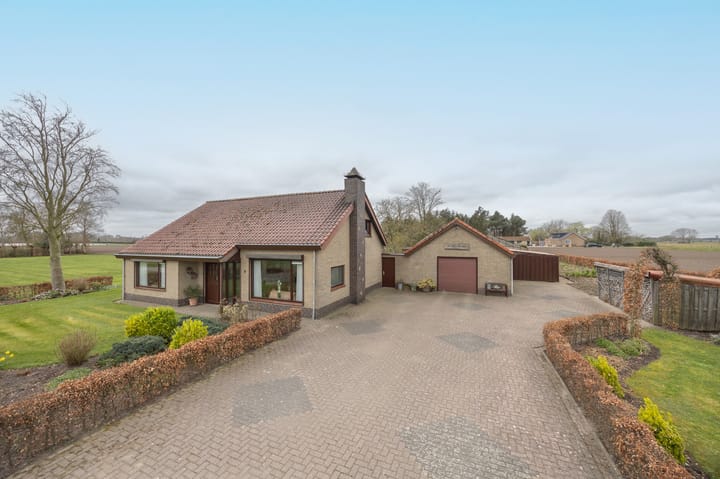 Foto 5 van Torendreef 5