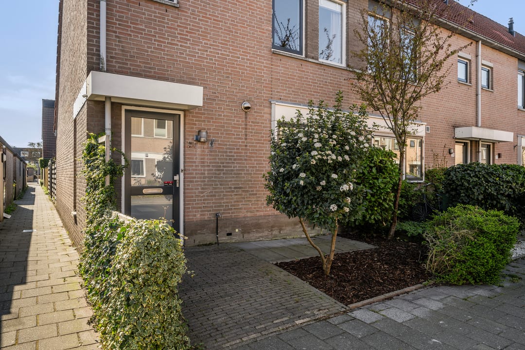 Foto 2 van Perzikkruid 16