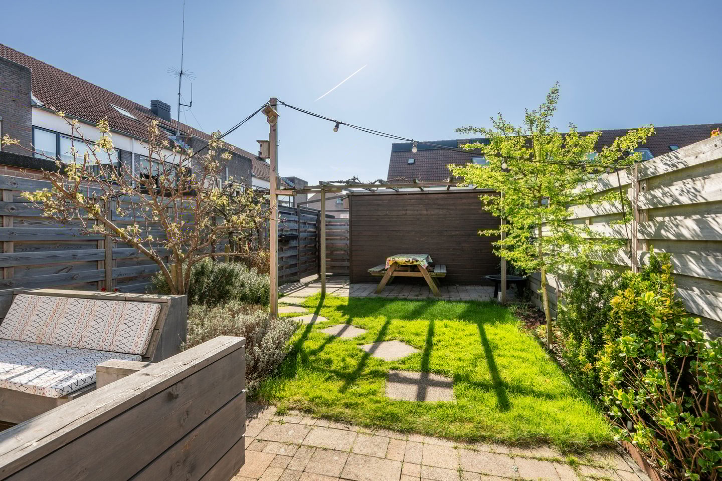 Foto 10 van Perzikkruid 16