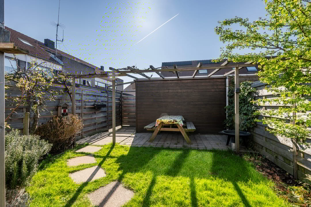 Foto 11 van Perzikkruid 16