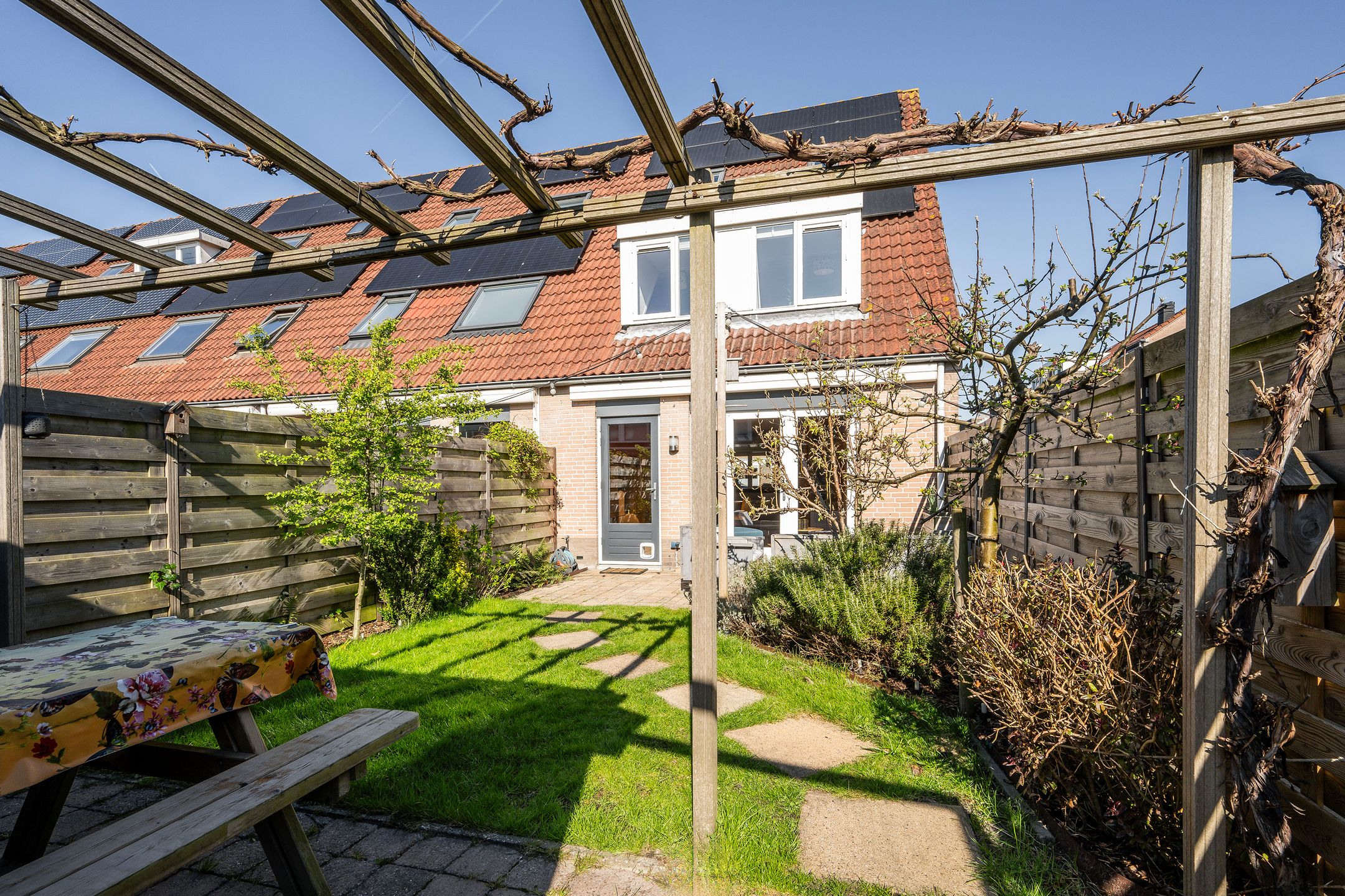 Foto 12 van Perzikkruid 16