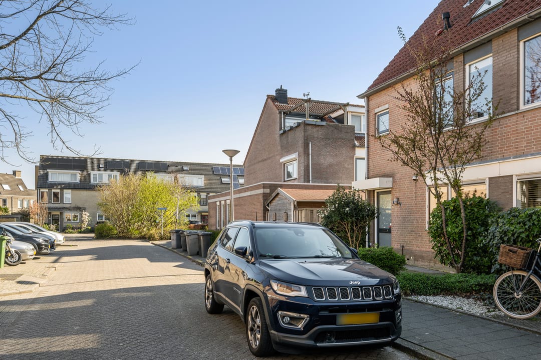 Foto 38 van Perzikkruid 16