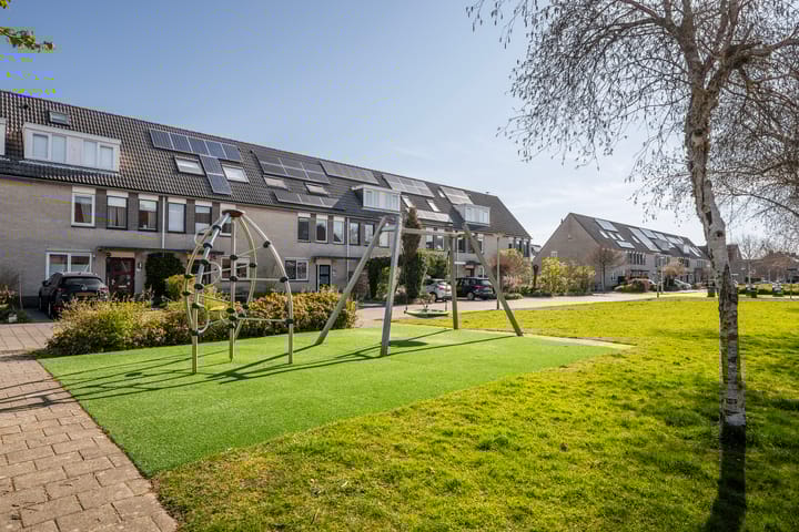 Foto 39 van Perzikkruid 16