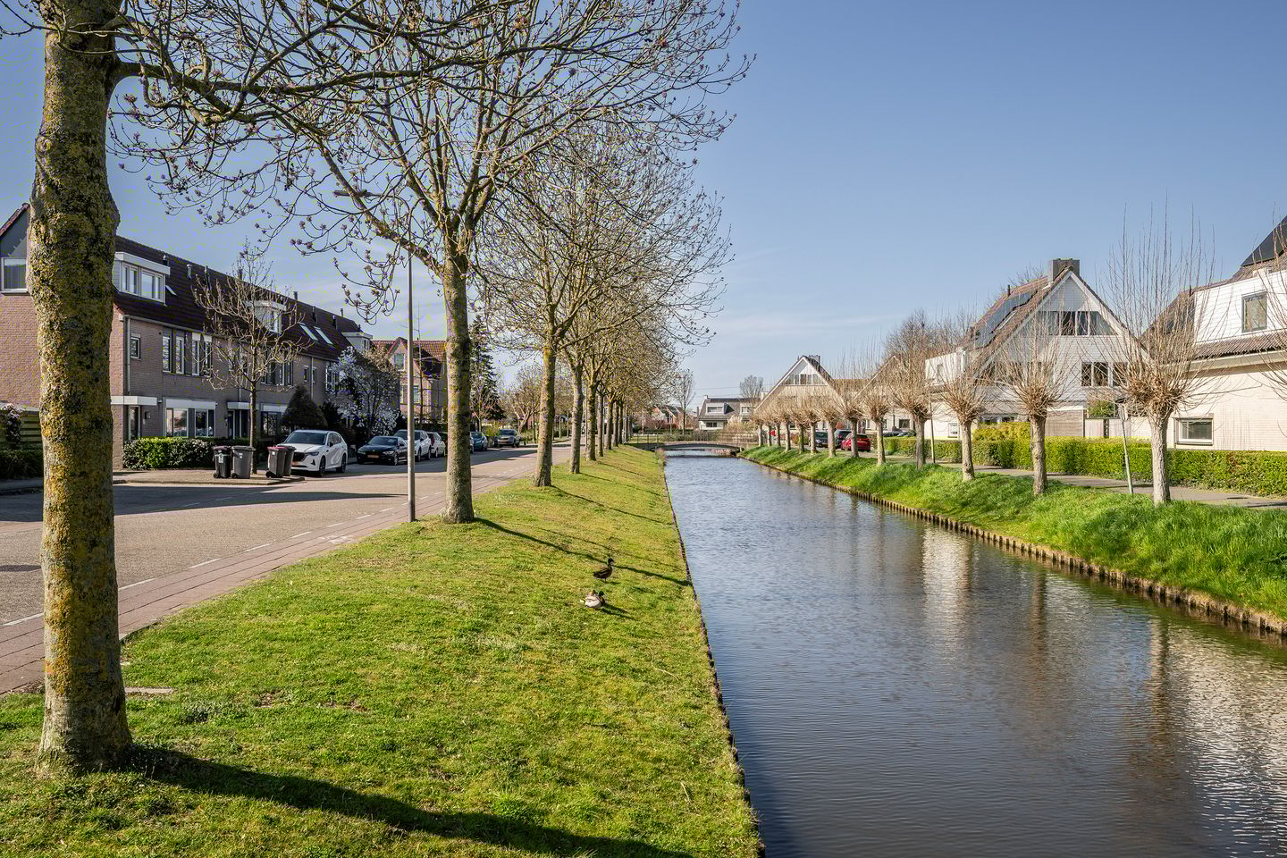 Foto 40 van Perzikkruid 16