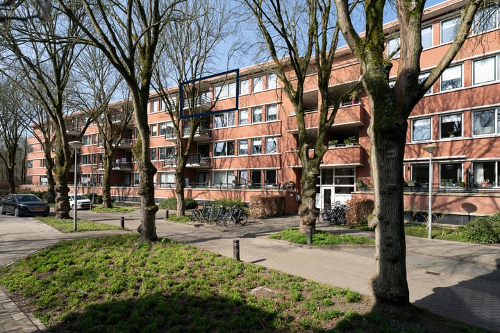 Iepenlaan 140