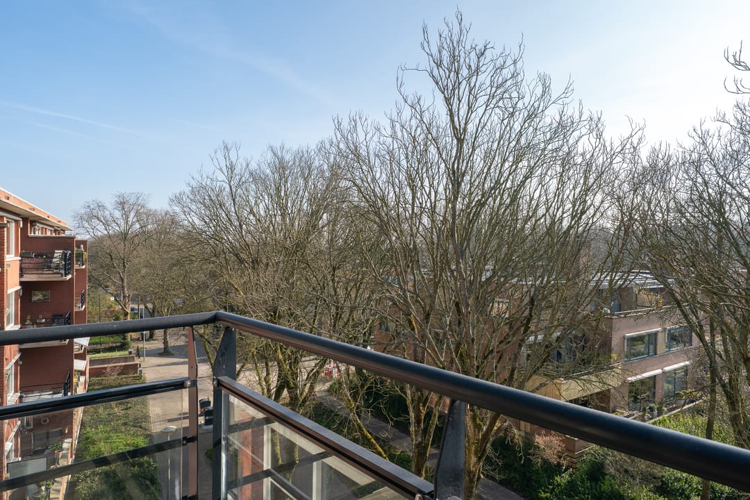 Foto 22 van Iepenlaan 140