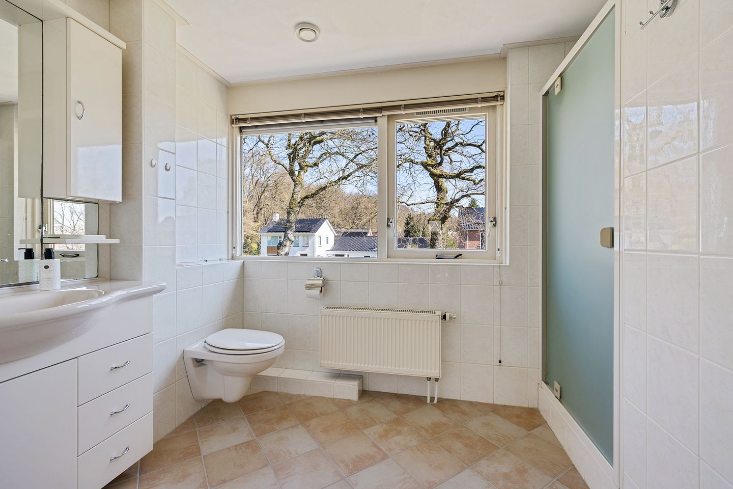 Foto 20 van Hooiweg 176