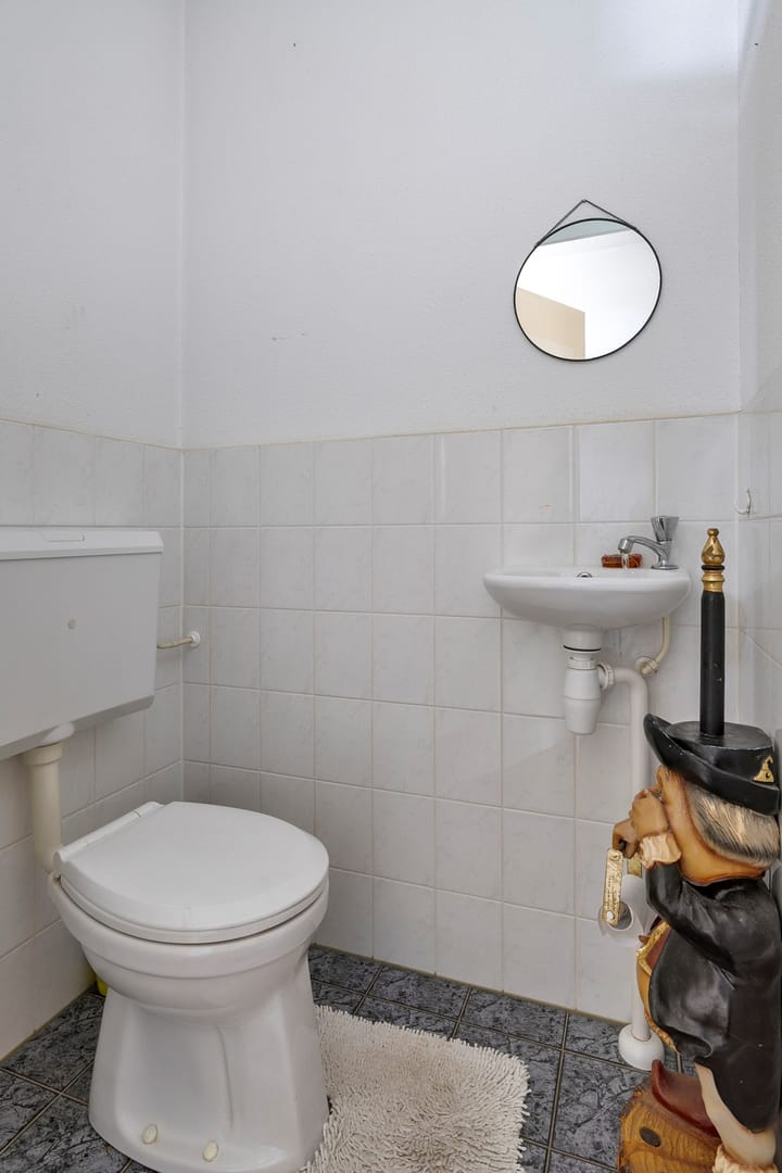 Foto 12 van Vuurvlinder 25