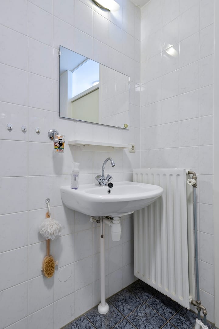 Foto 21 van Vuurvlinder 25