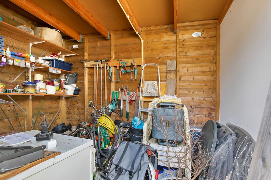 Foto 26 van Vuurvlinder 25