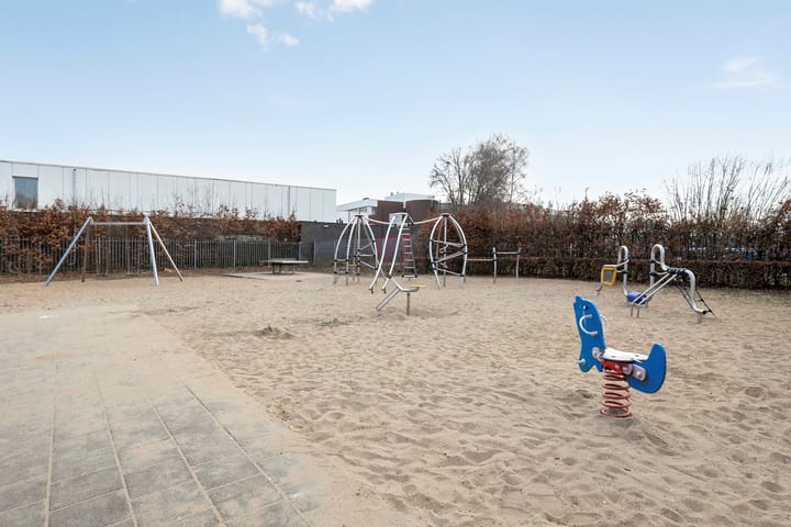 Foto 28 van Vuurvlinder 25