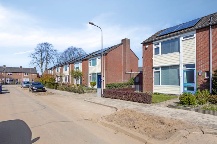 undefined main image