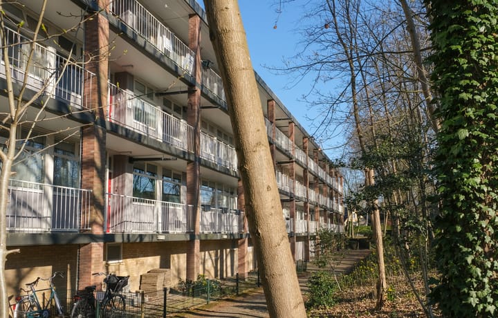 Foto 7 van Anna van Burenlaan 16