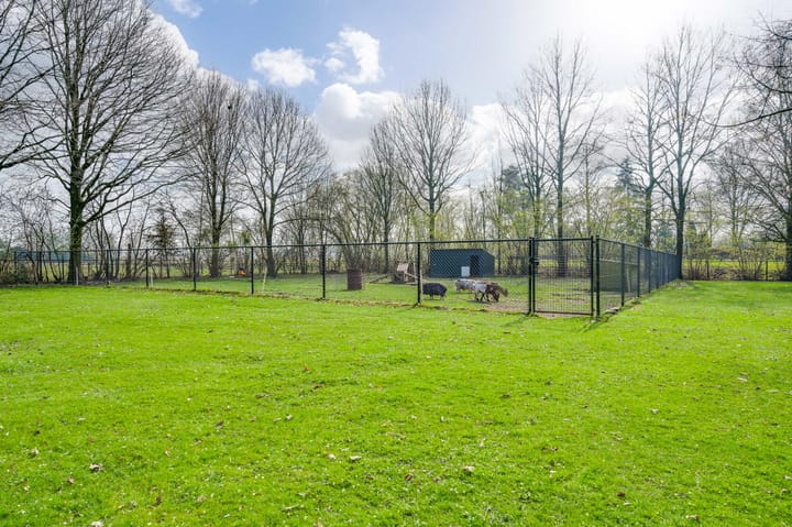 Foto 64 van Slievenstraat 36