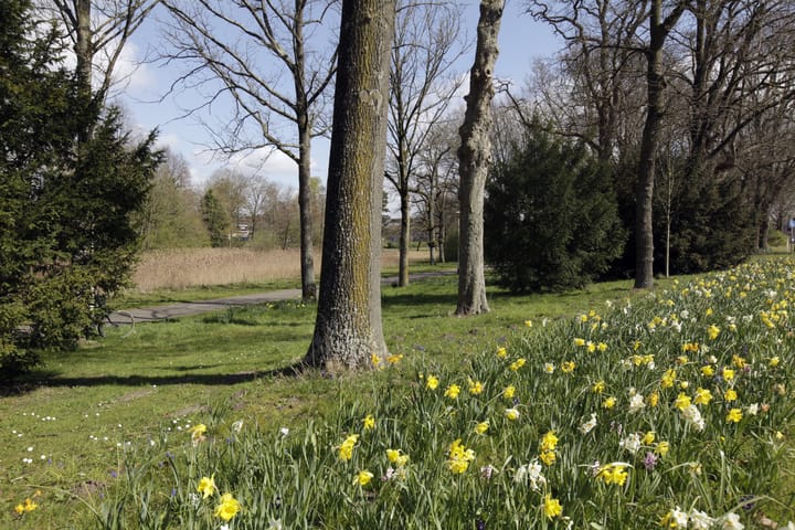 Foto 53 van Weerijsstraat 14