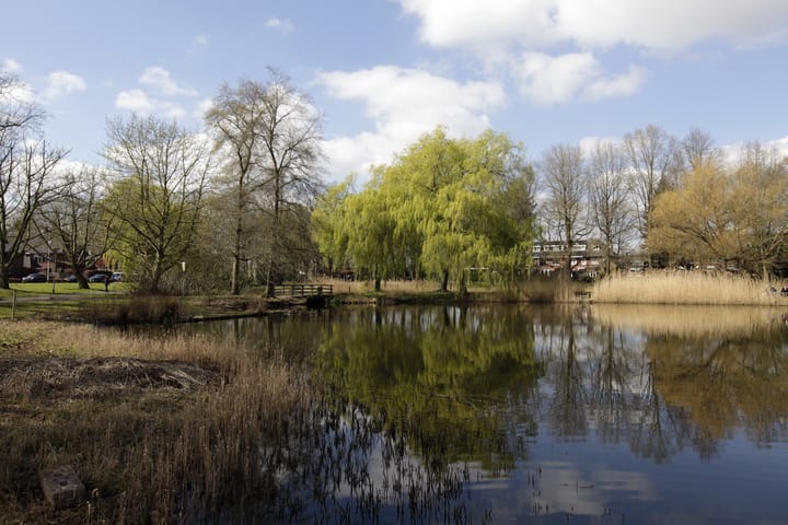 Foto 55 van Weerijsstraat 14