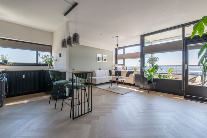 Foto 1 van De Grote Pekken 562