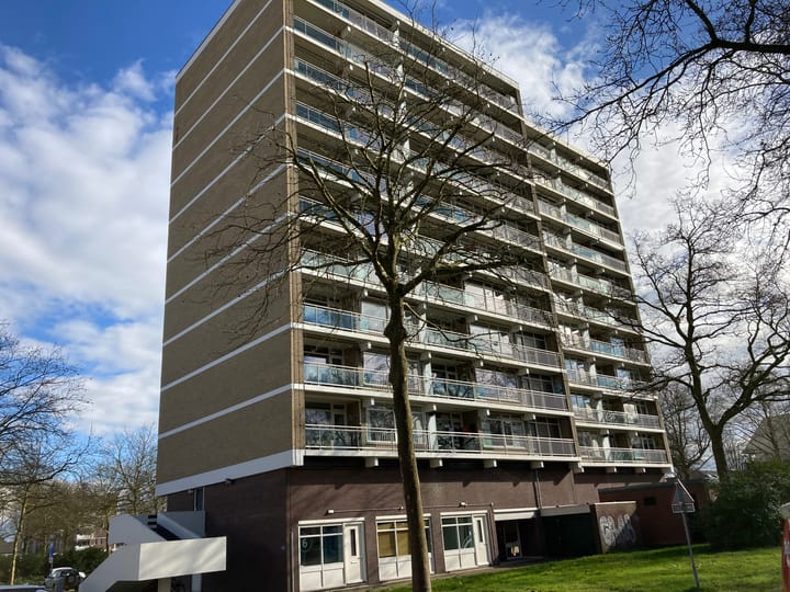 Foto 2 van Henri Dunantplein 12