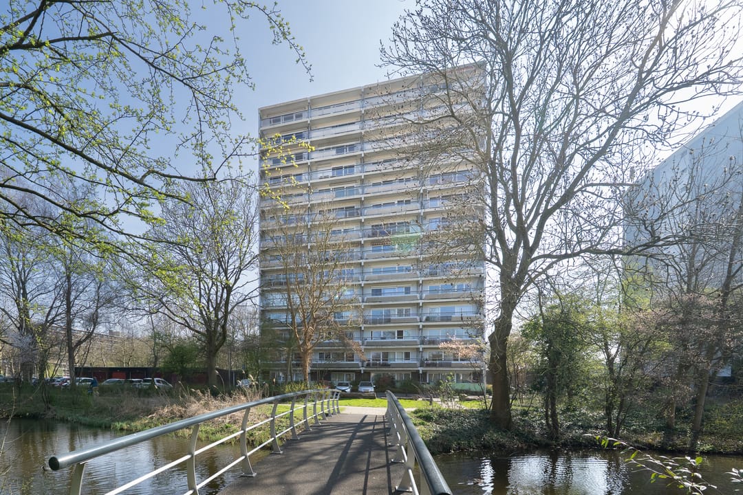 Photo 1 of De Roerdomp 196