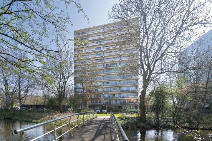 Foto 1 van De Roerdomp 196