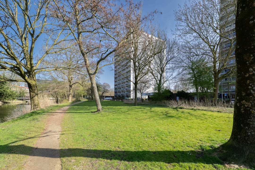 Photo 2 of De Roerdomp 196