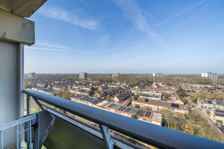 Foto 10 van De Roerdomp 196