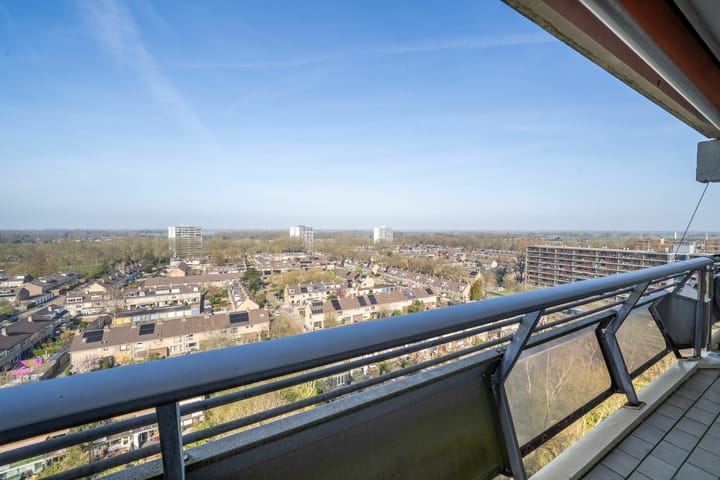 Foto 12 van De Roerdomp 196